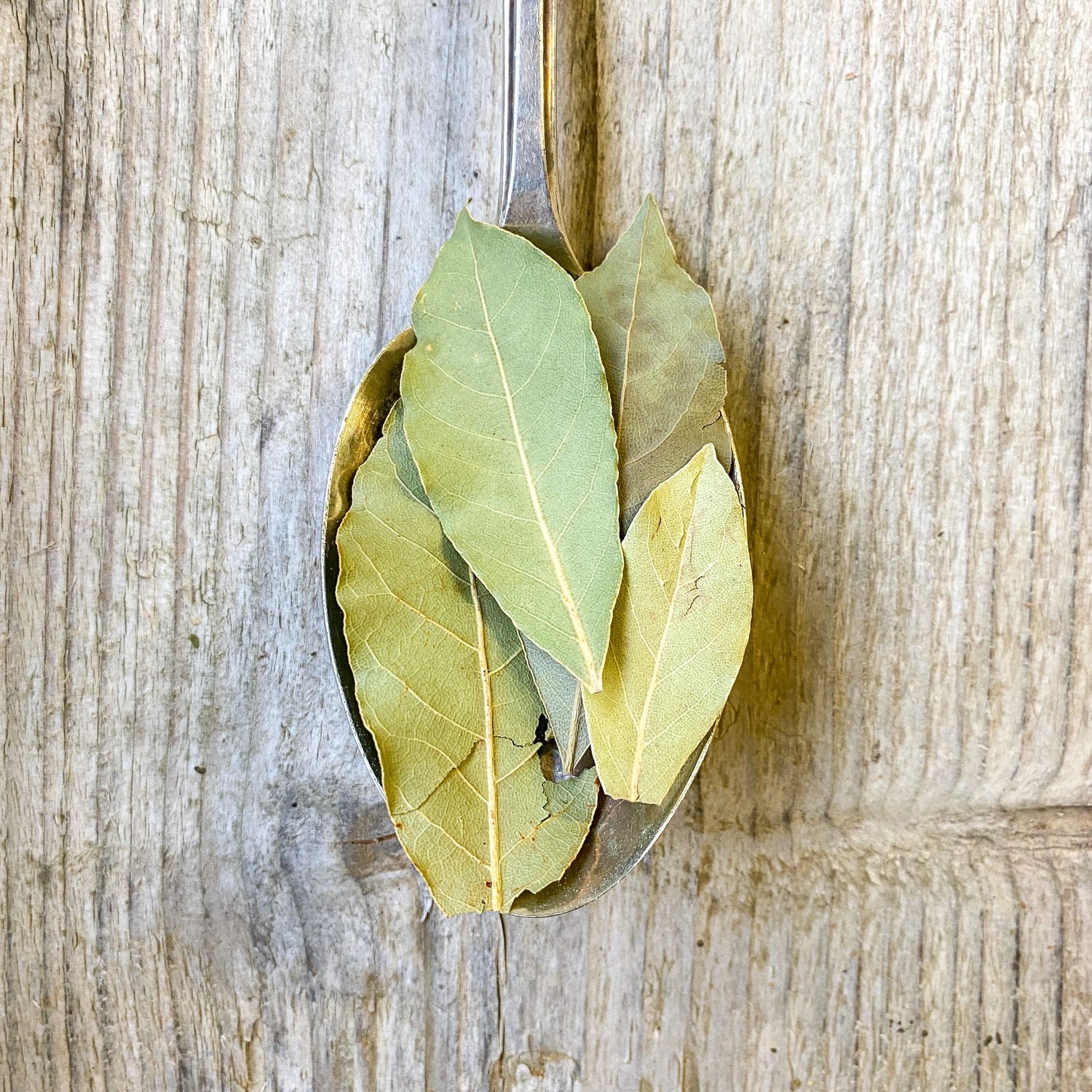 Bay Leaves