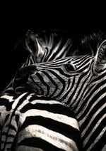 Elise Gibbins Herbivore Fine Art Prints