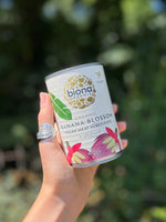 Tinned Organic Banana Blossom