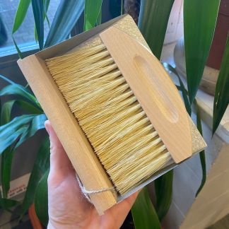 Mini Dustpan & Brush Set