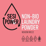 Non-Biological Laundry Powder