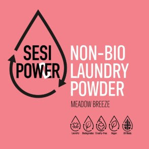 Non-Biological Laundry Powder