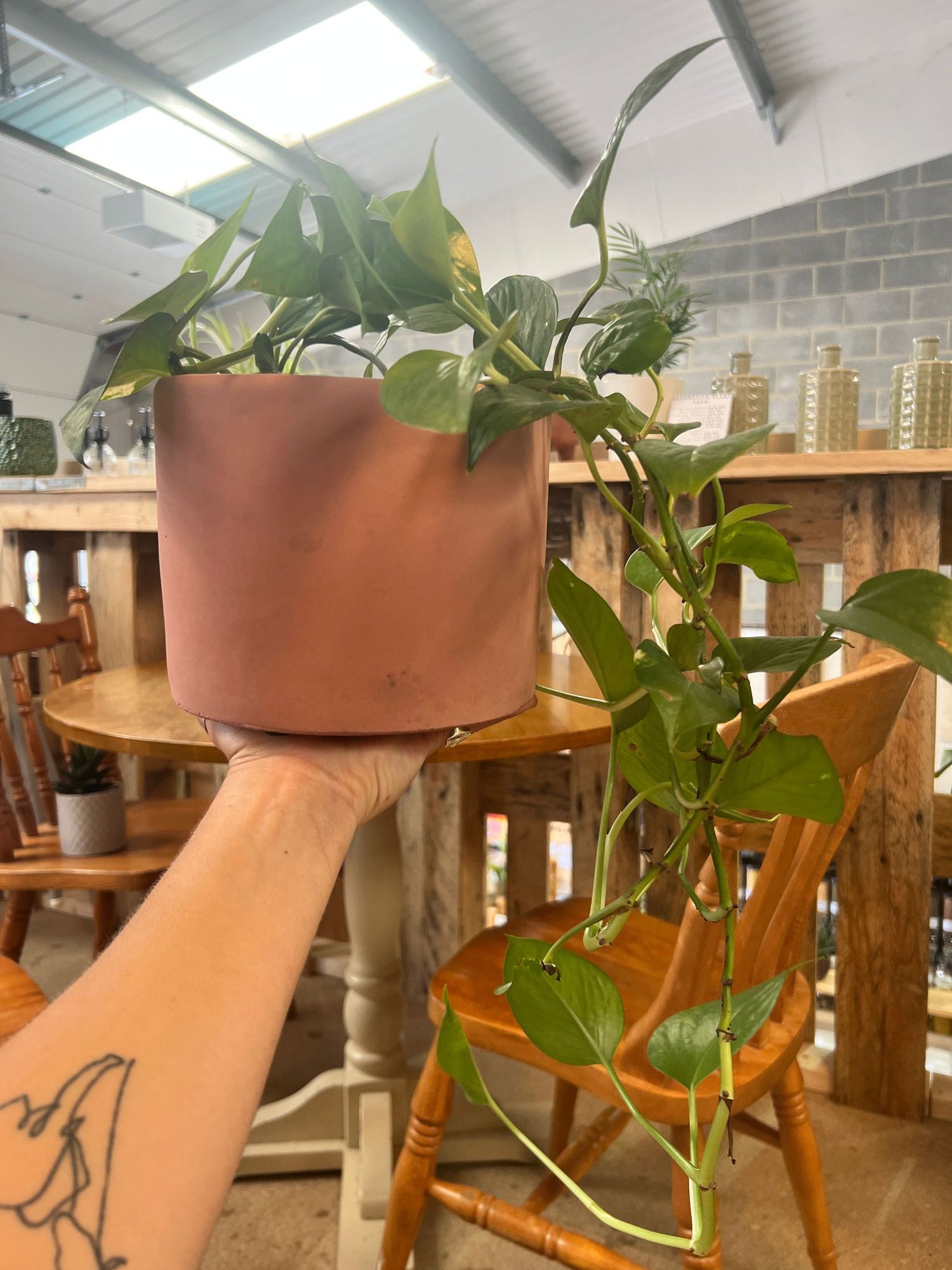 Bamburgh Cement Plant Pot