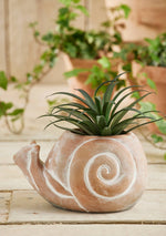 Terracotta Snail Planter