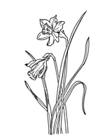 English-Made, Creative Rubber Stamps