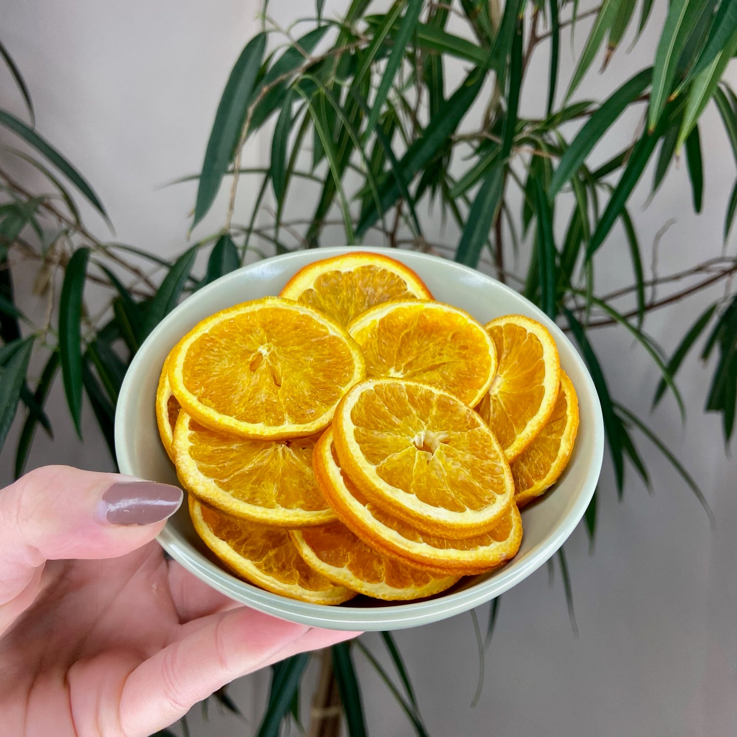 Dehydrated Oranges