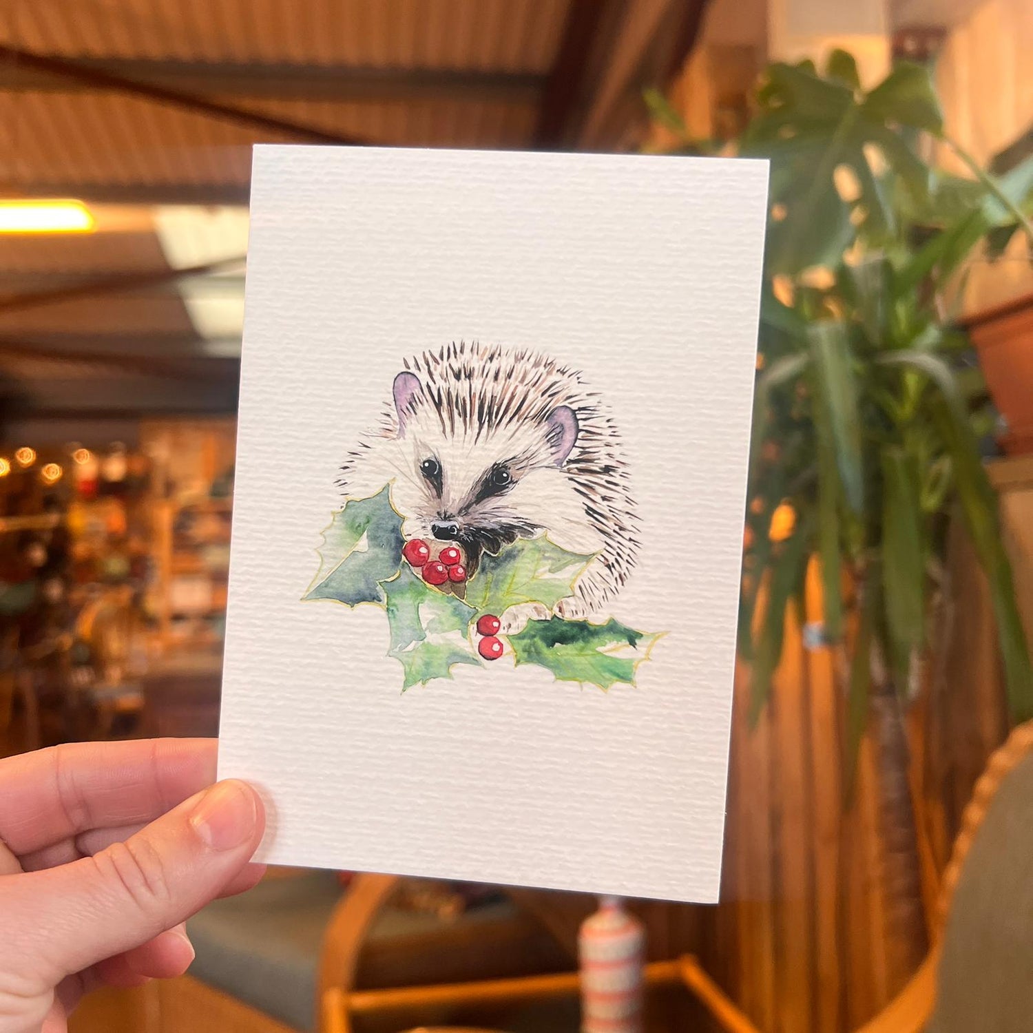 Hedgehog in Holly Christmas Card