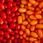 Mixed Baby Plum Tomatoes