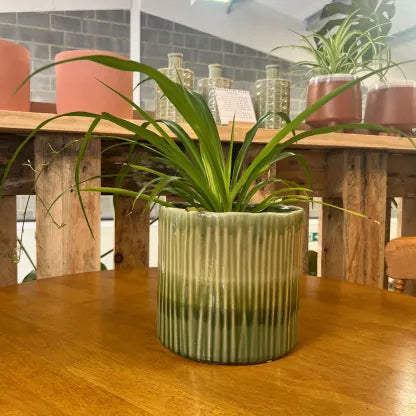 Nettleton Plant Pot