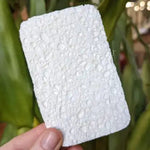 Natural Sponge With Loofah Scourer