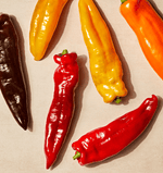 Sweet Pointed Peppers