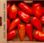 San Arrentino Tomatoes