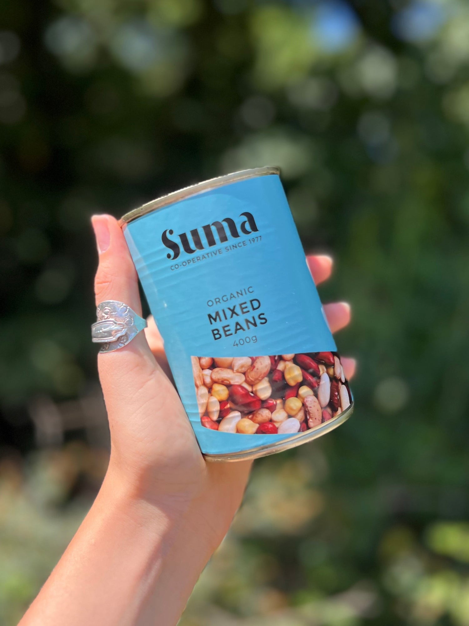 Tinned Organic Mixed Beans
