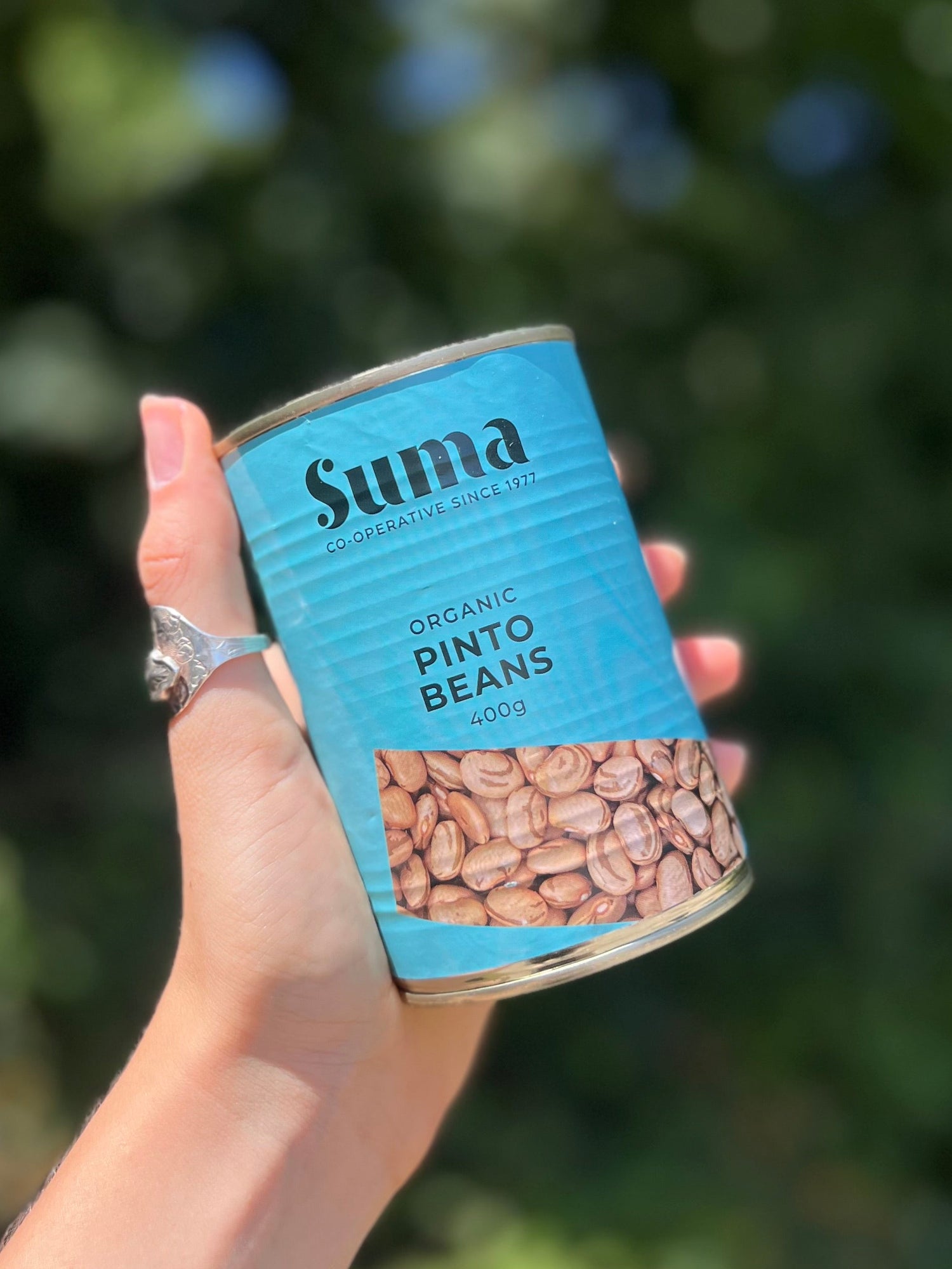 Tinned Organic Pinto Beans