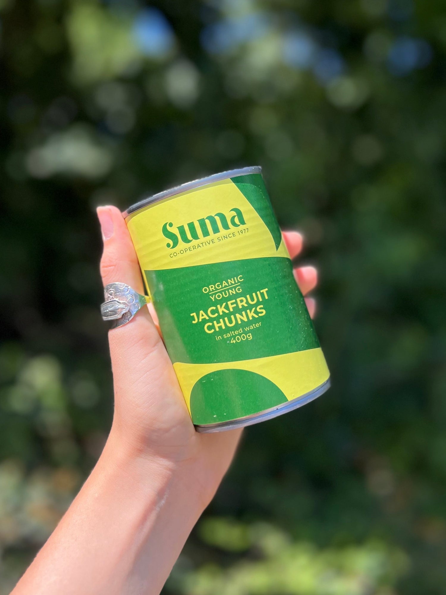 Tinned Organic Young Jackfruit Chunks