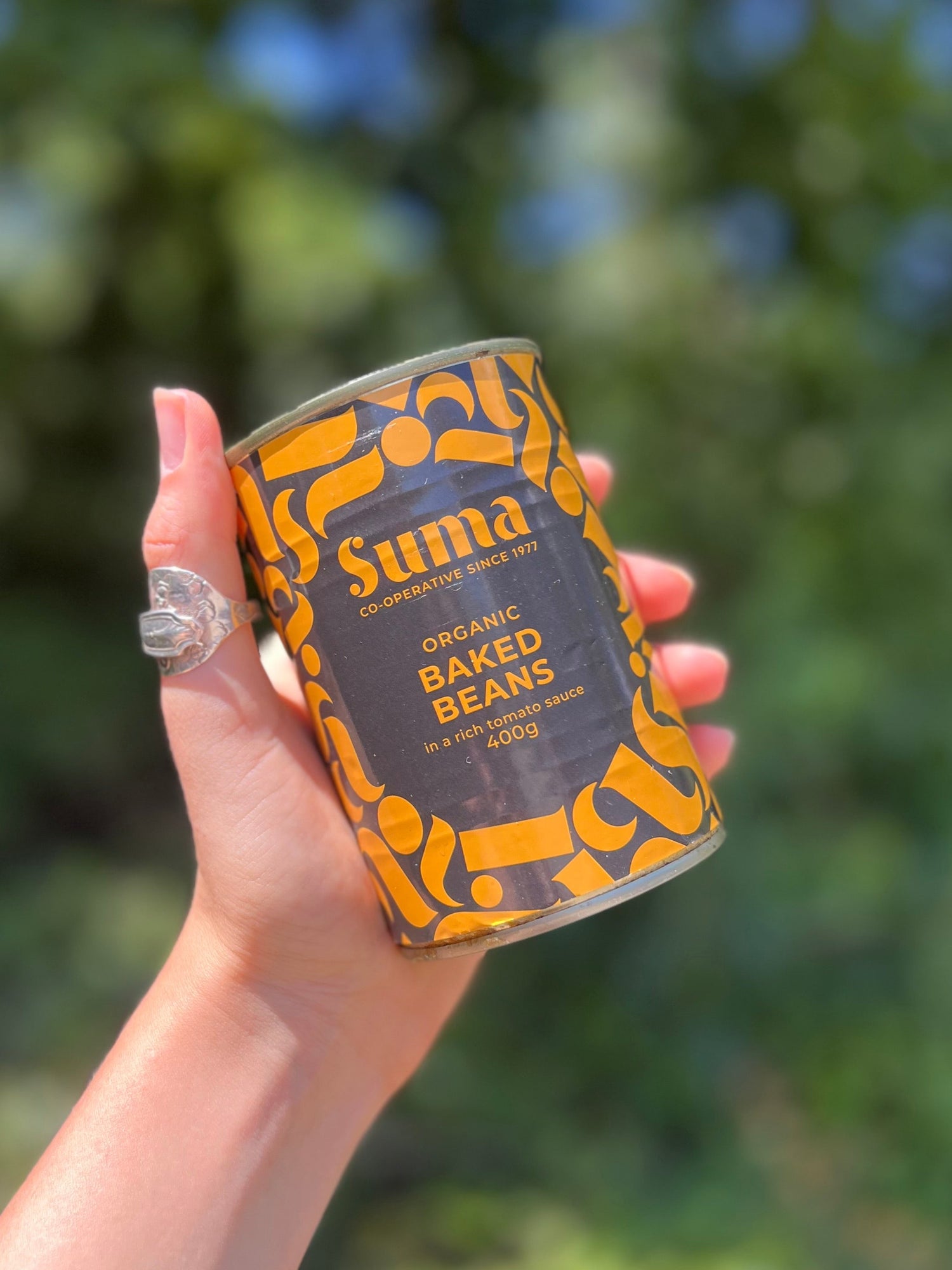 Tinned Organic Baked Beans