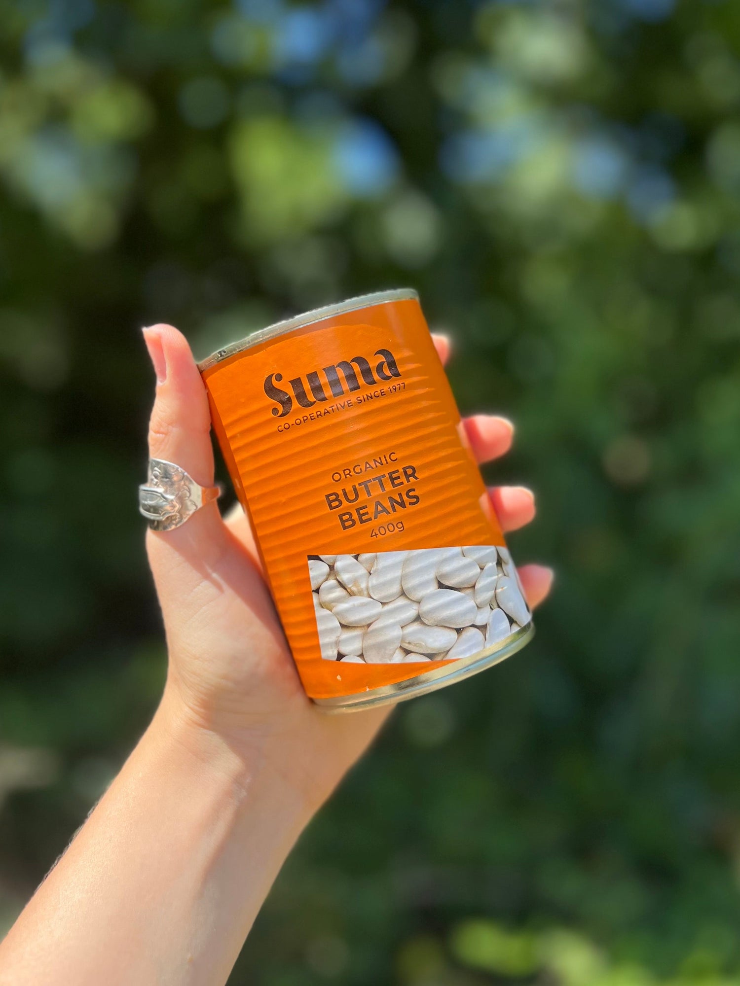 Tinned Organic Butter Beans
