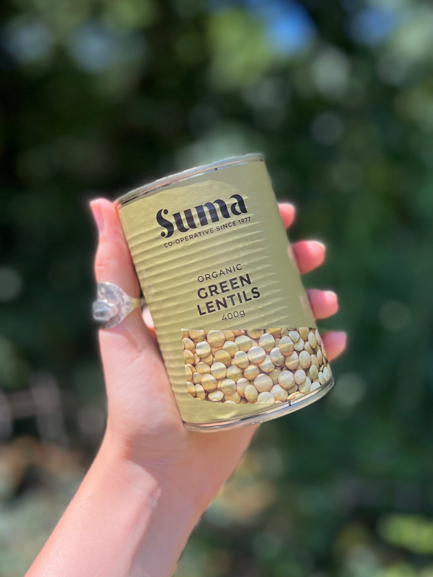 Tinned Organic Green Lentils