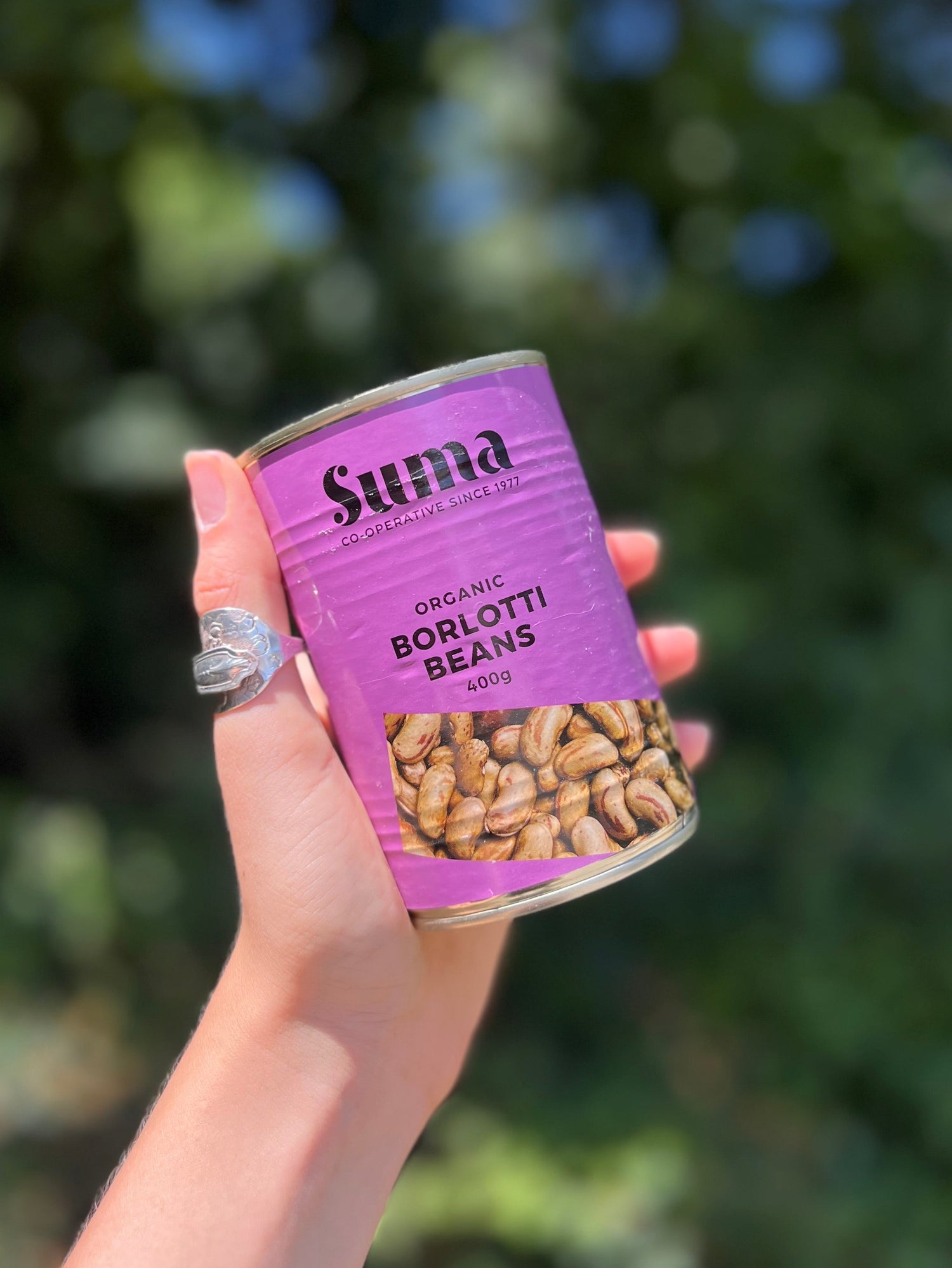Tinned Borlotti Beans