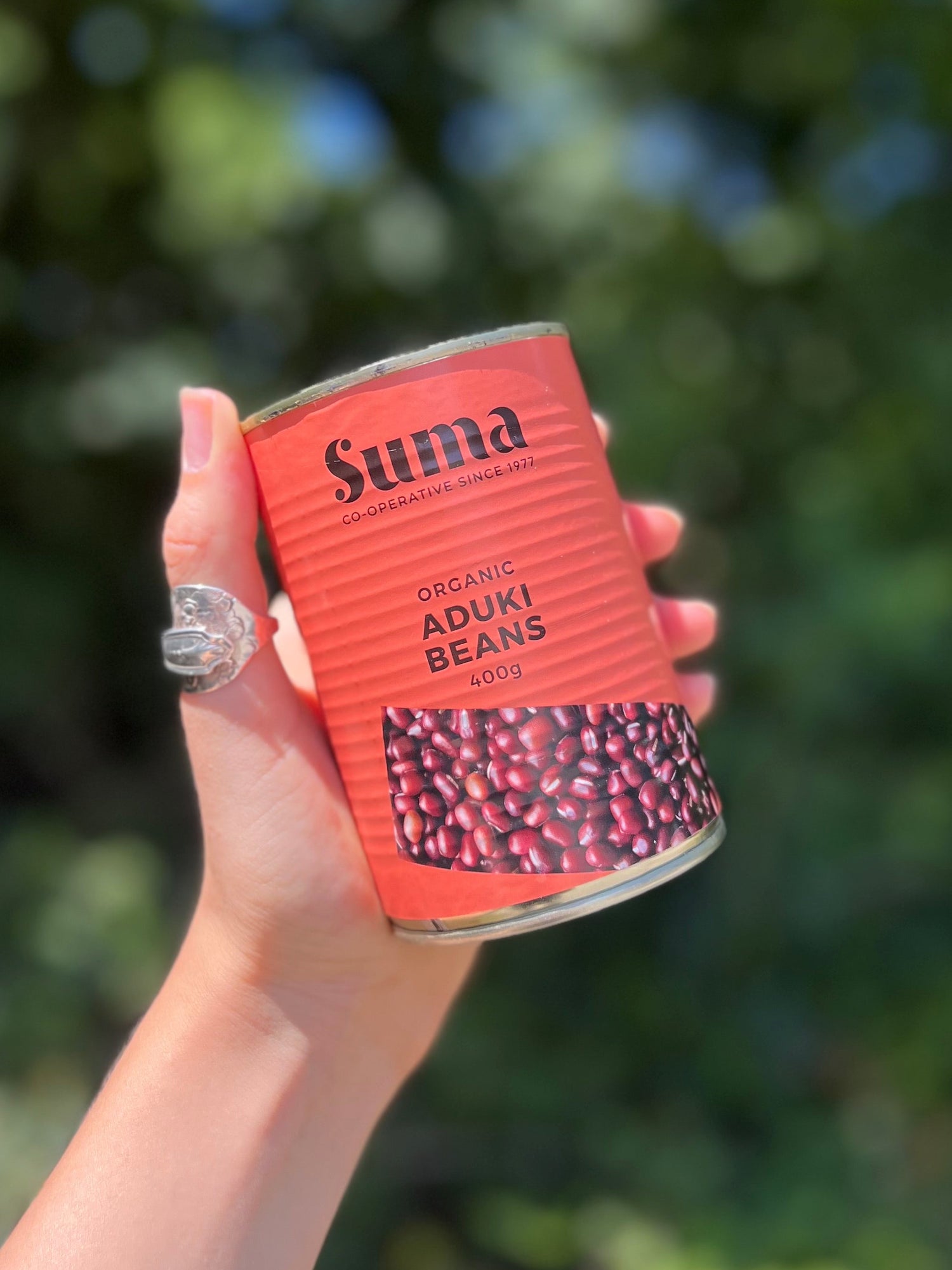 Tinned Organic Aduki Beans