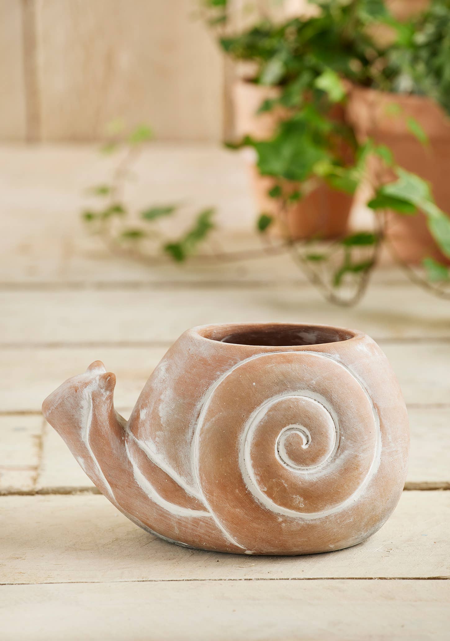 Terracotta Snail Planter