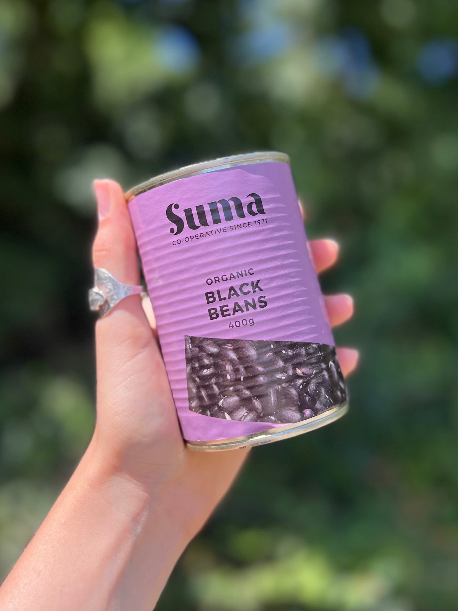 Tinned Organic Black Beans