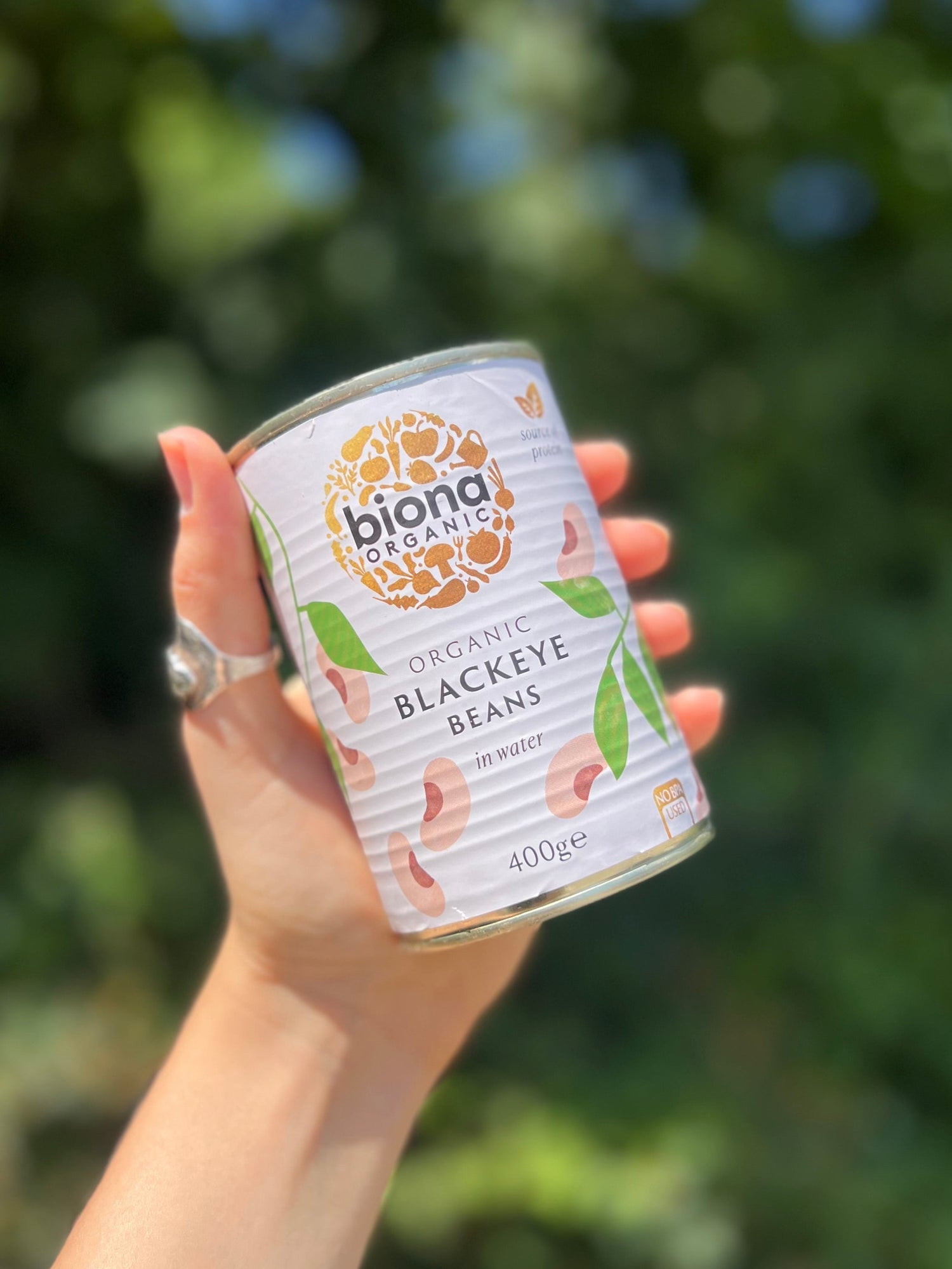 Tinned Organic Blackeye Beans