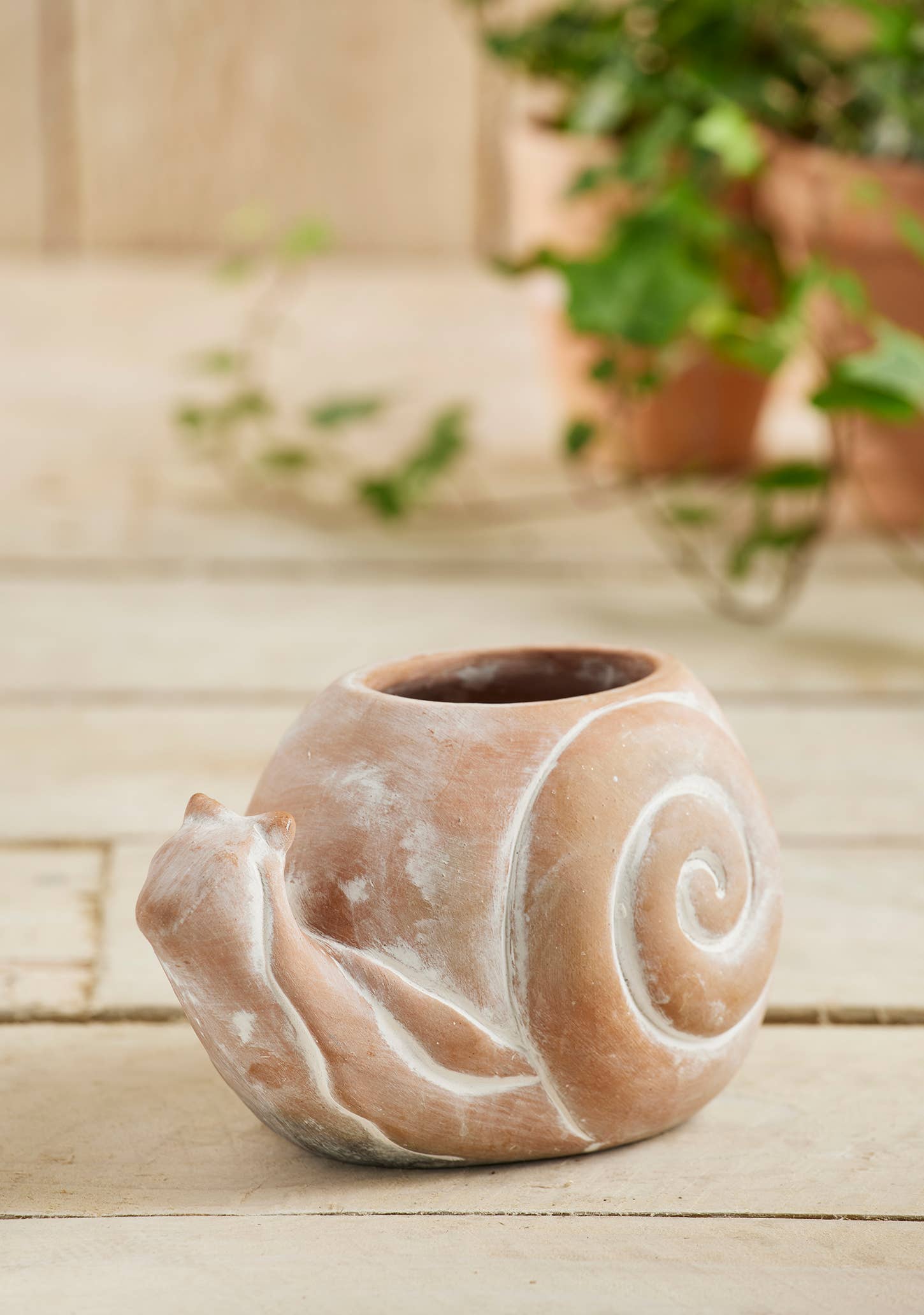 Terracotta Snail Planter
