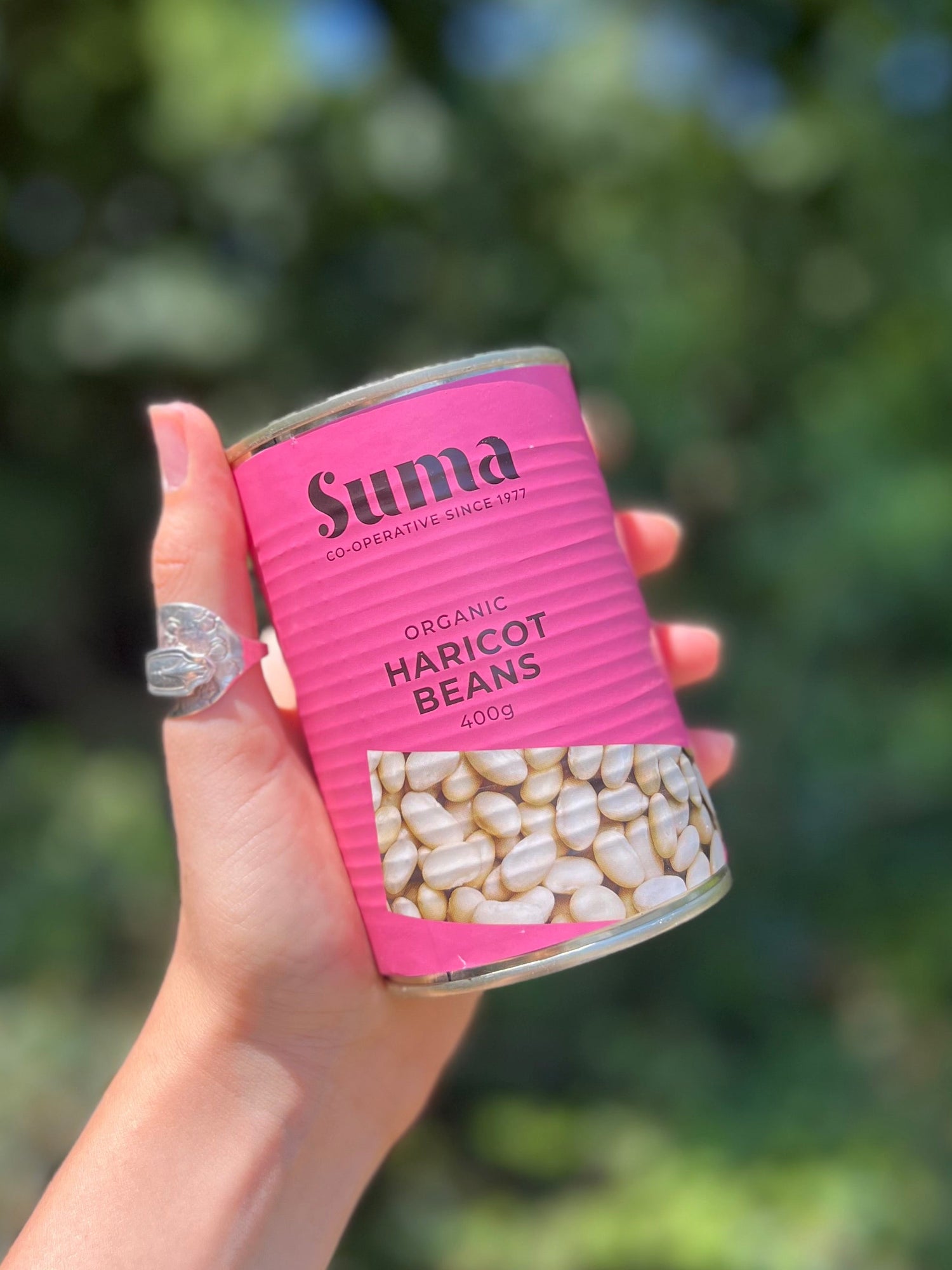 Tinned Organic Haricot Beans