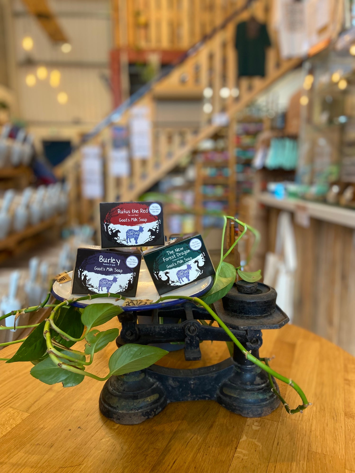 Goat's Milk Soap Bars