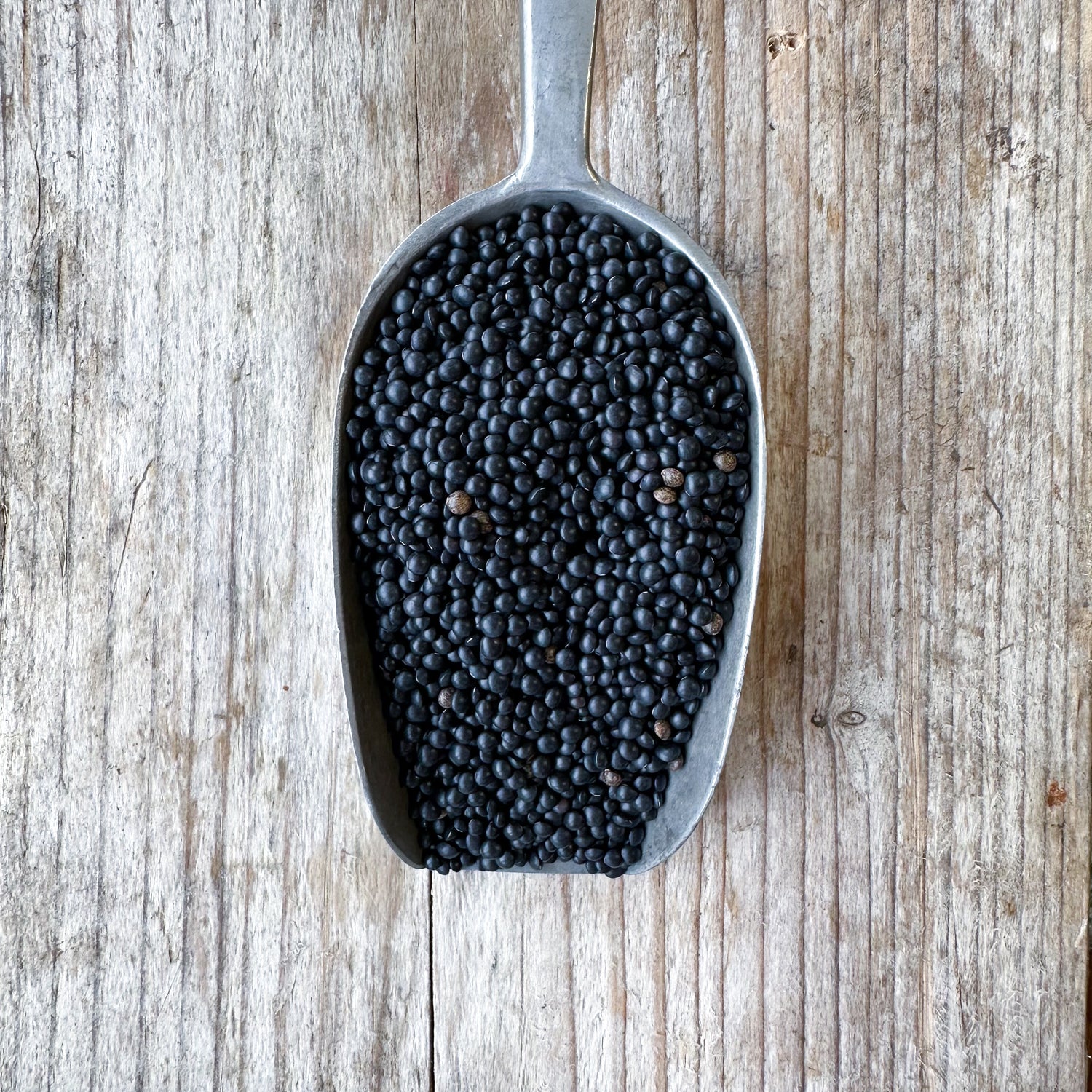 Organic Black Beluga Lentils