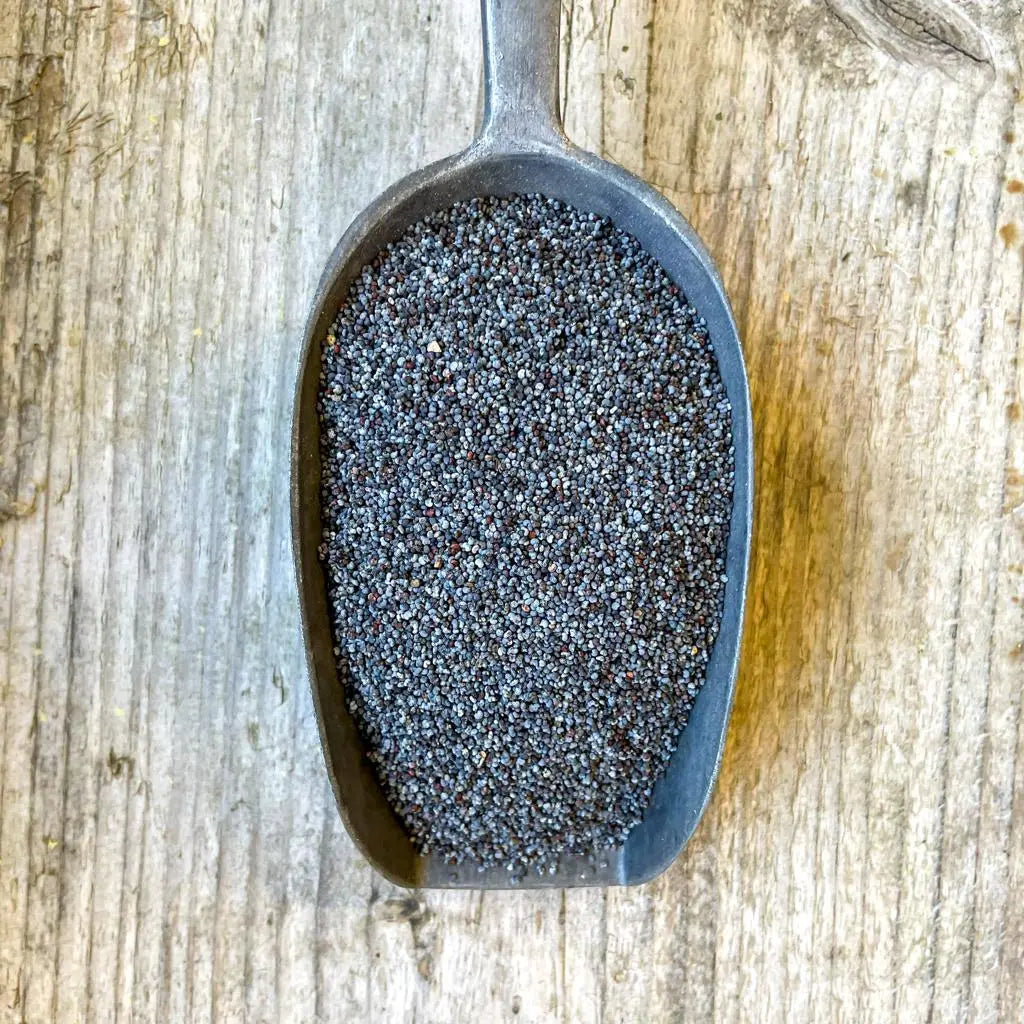 Blue Poppy Seeds