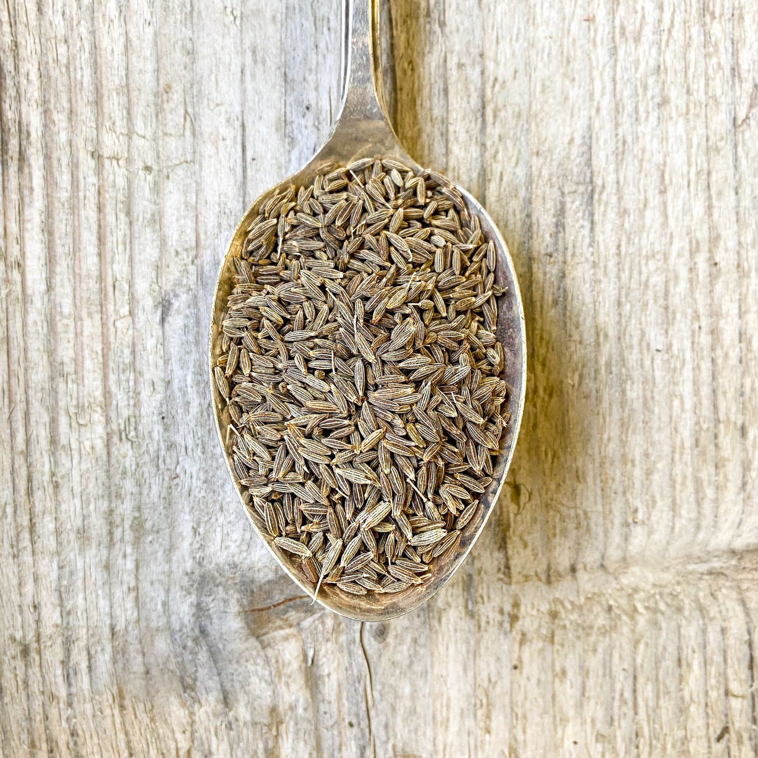 Cumin Seeds