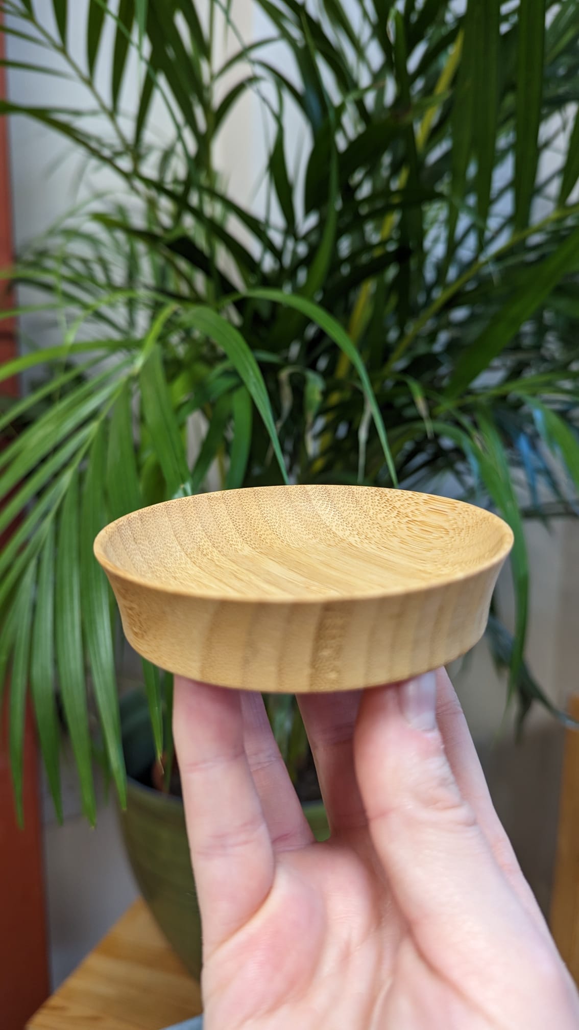 Bamboo Condiment Cups