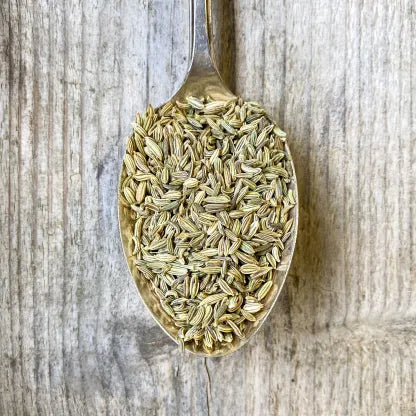 Fennel Seeds