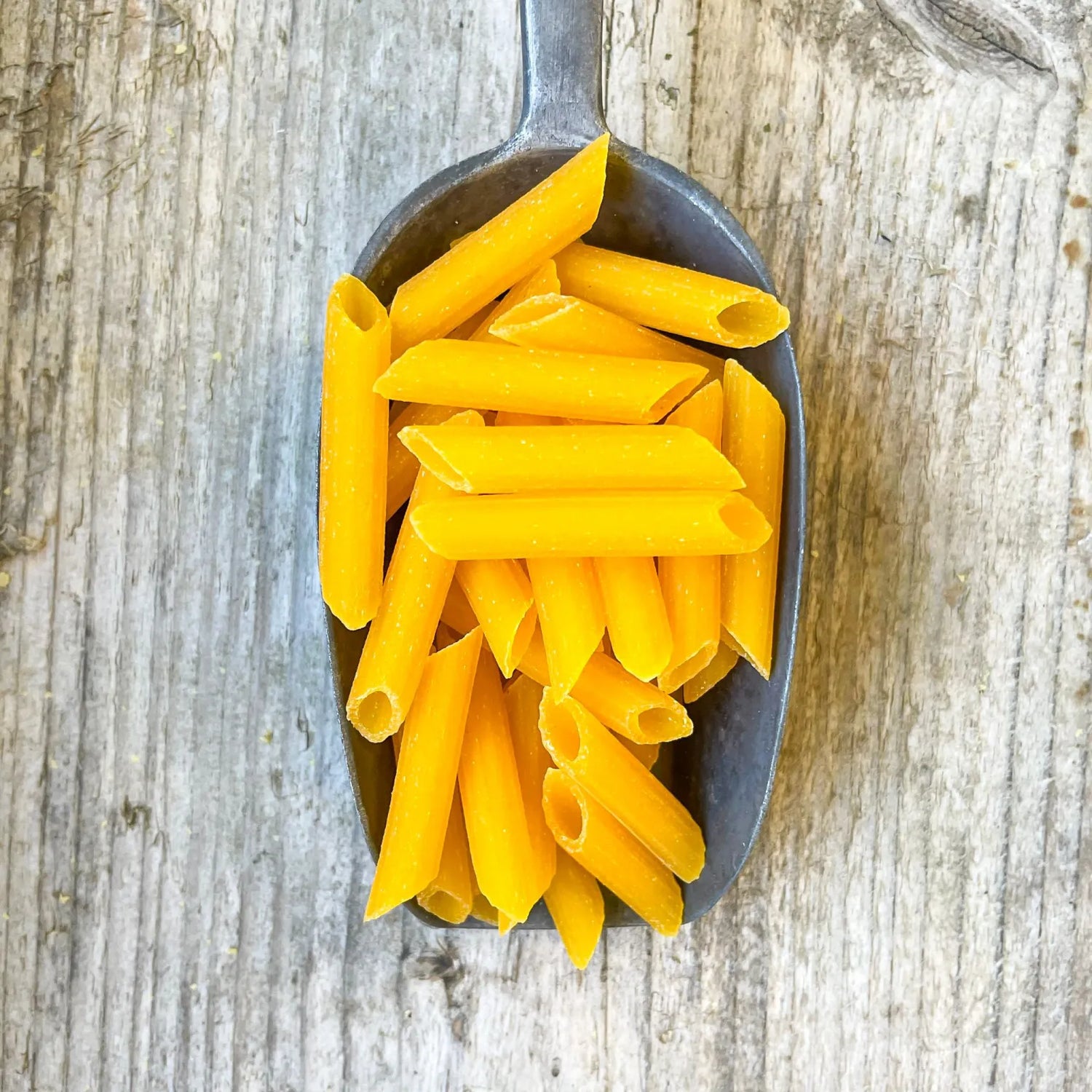 Gluten Free Penne Pasta