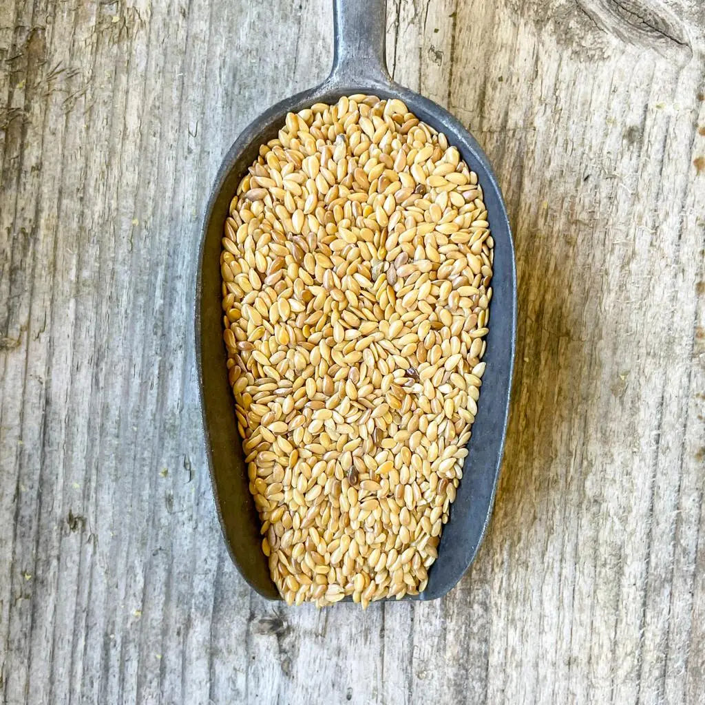 Organic Golden Linseed