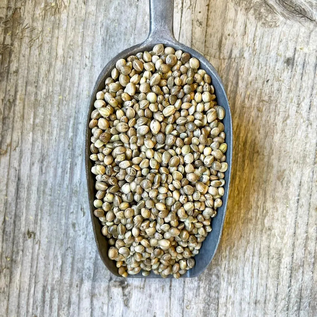 Organic Hemp Seeds