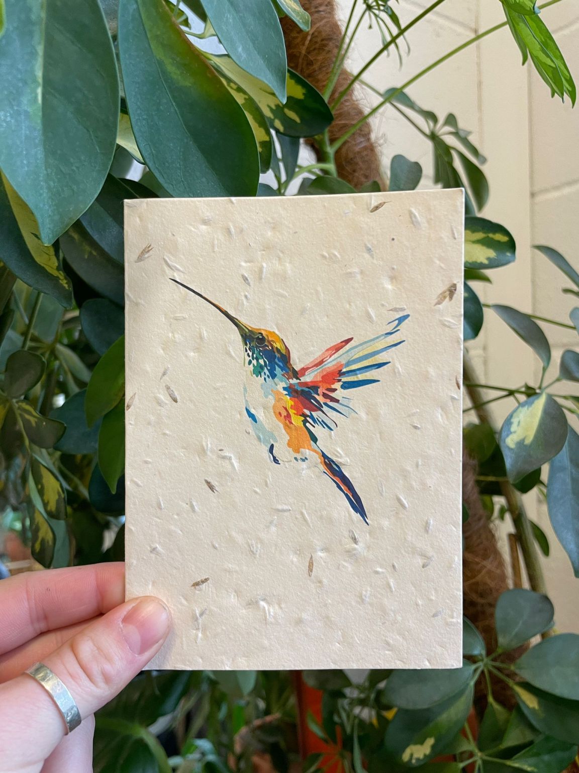 Hummingbird Greetings Card