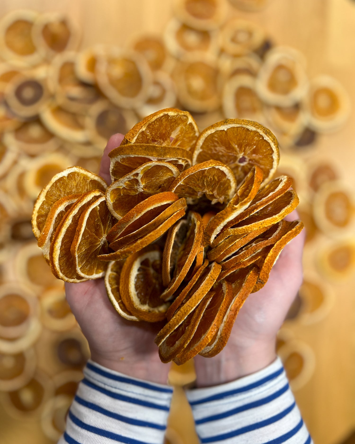 Dehydrated Oranges