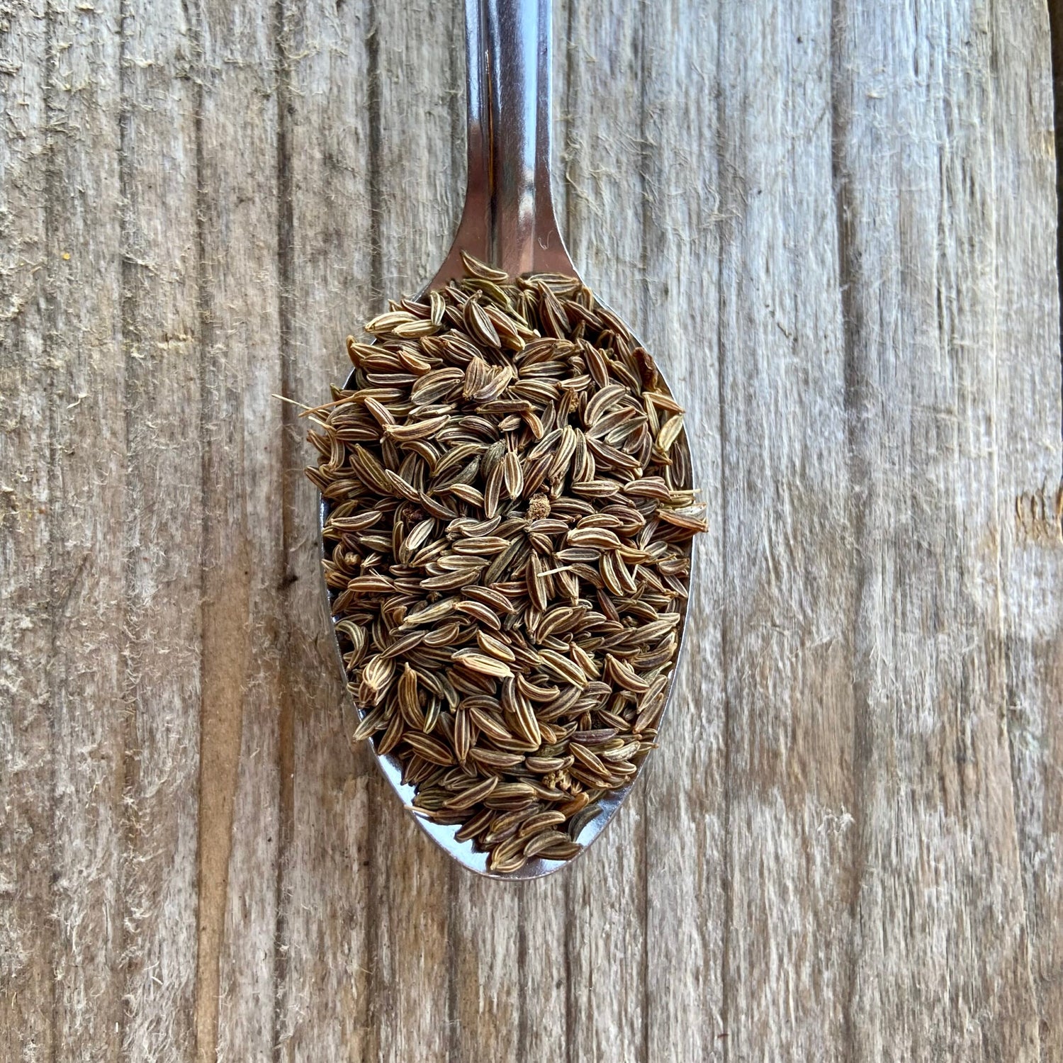 Caraway Seeds