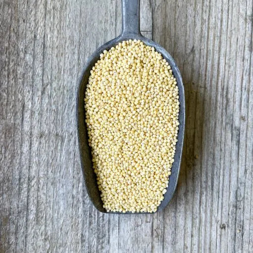 Millet Grain