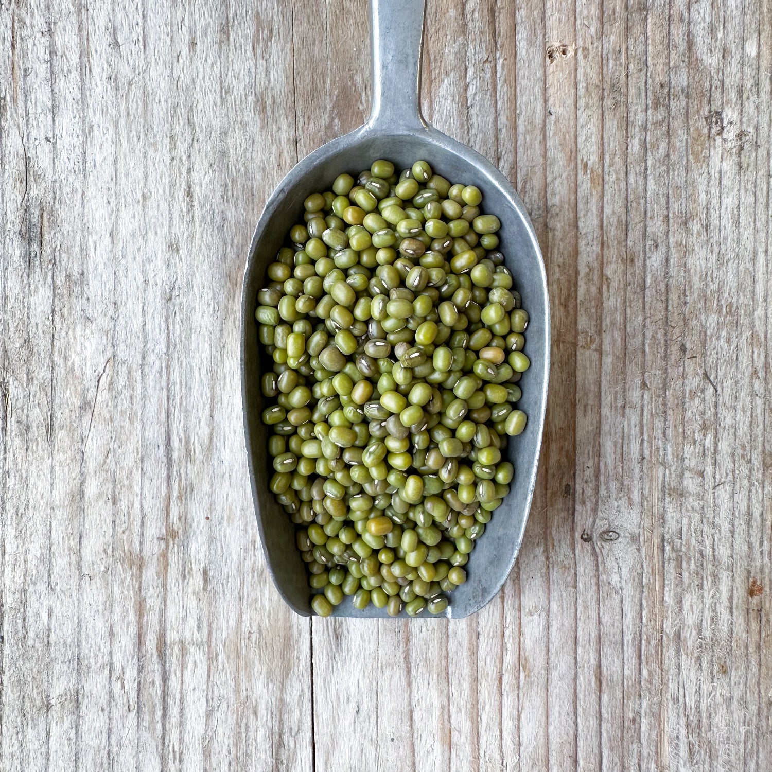 Organic Mung Beans