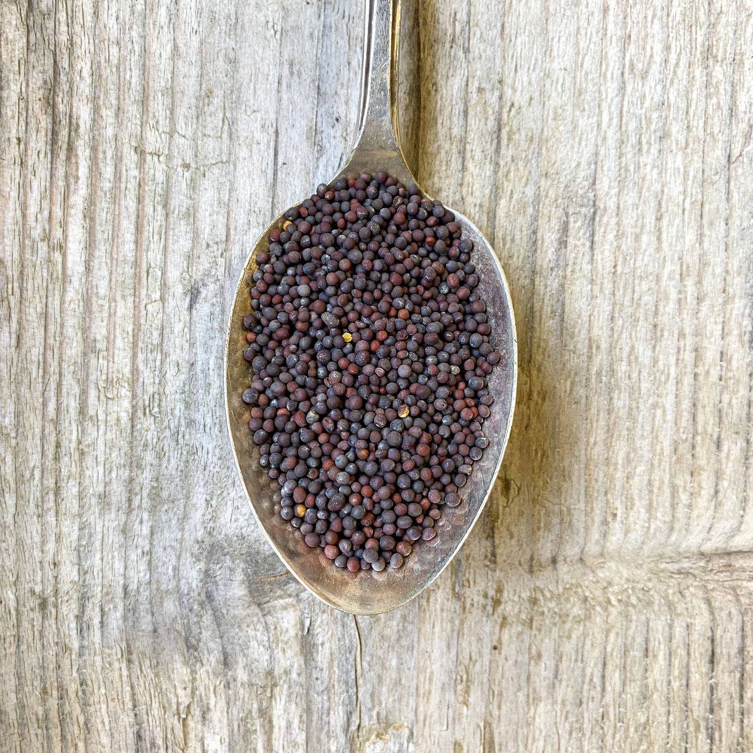 Brown Mustard Seeds