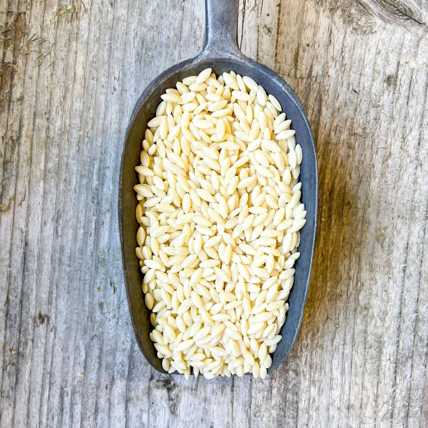 Orzo Pasta