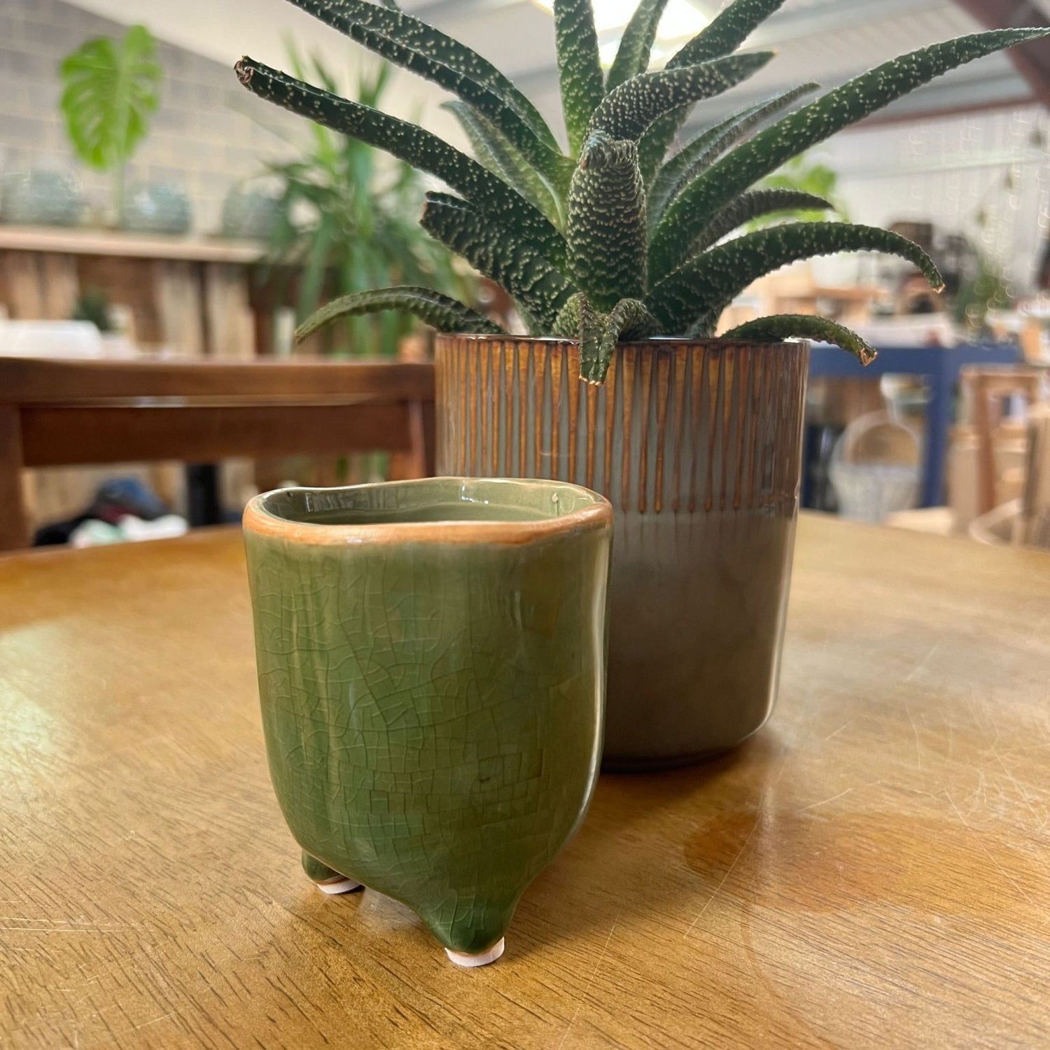 Small Positano Plant Pot