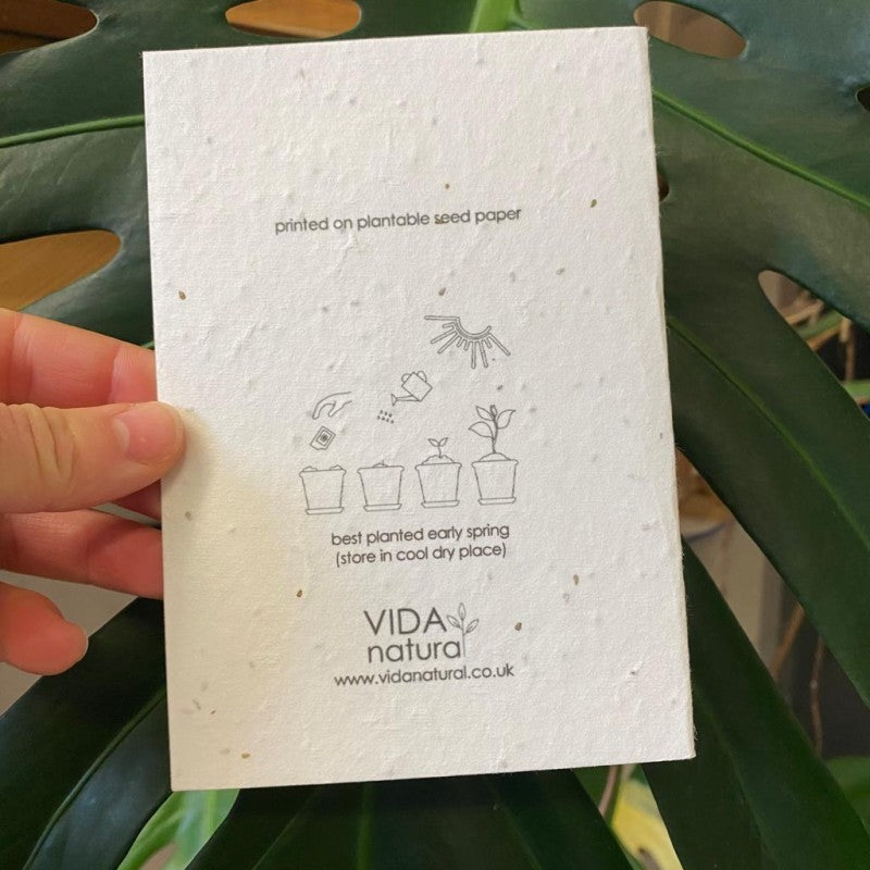 You Are Awesome Greetings Card