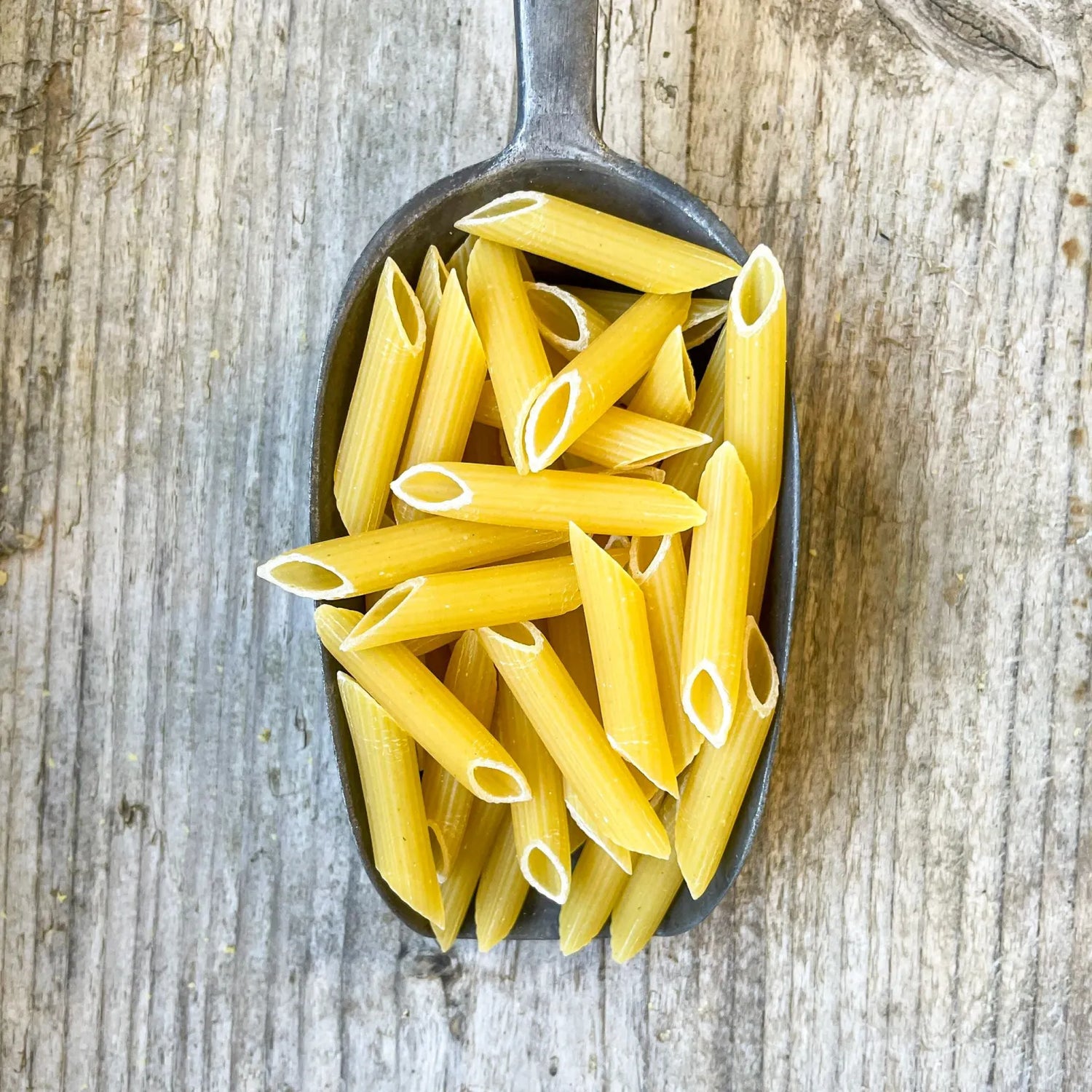 Organic White Penne Pasta