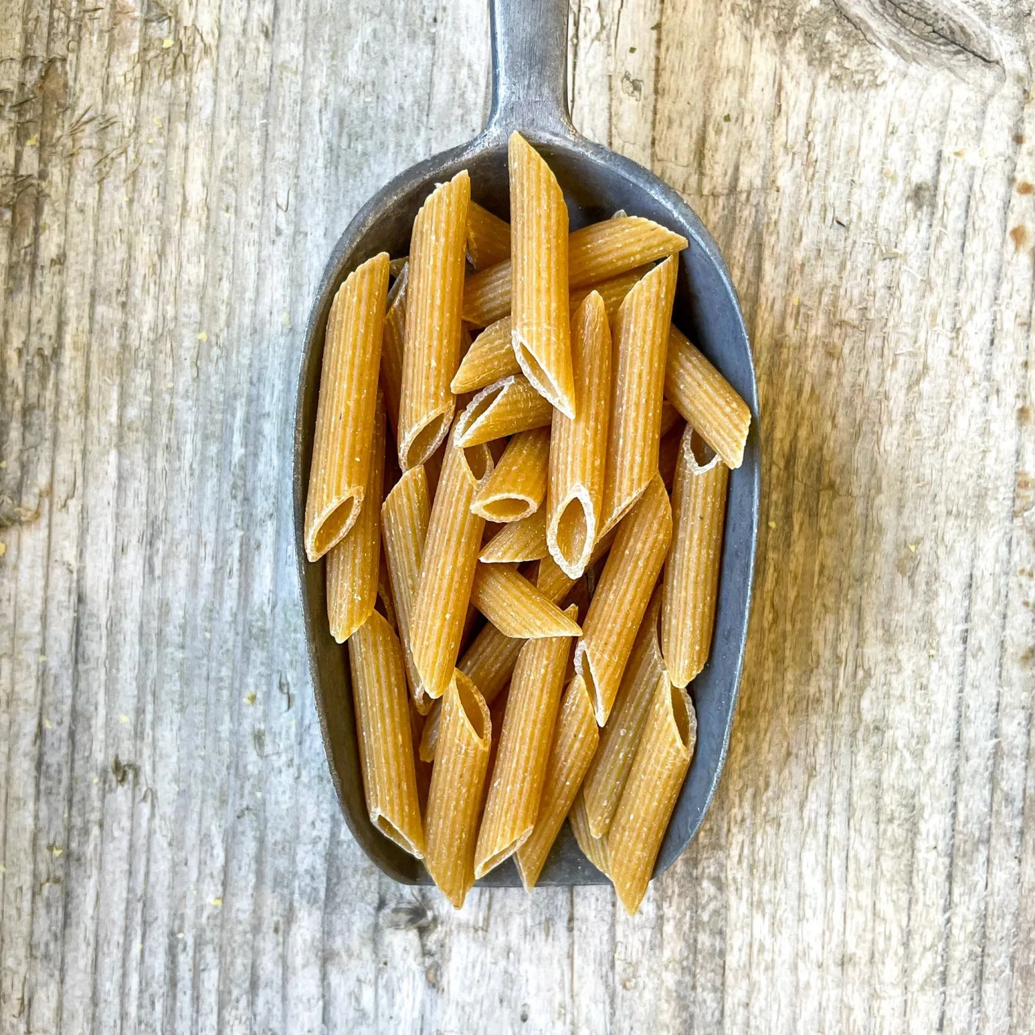 Organic Wholewheat Penne Pasta