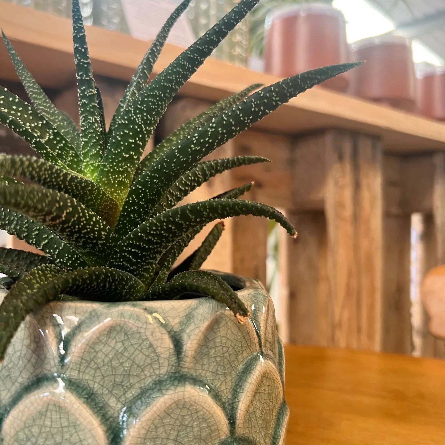 plant artichokes in pots Artichoke Plant Pot – Lemon and Jinja